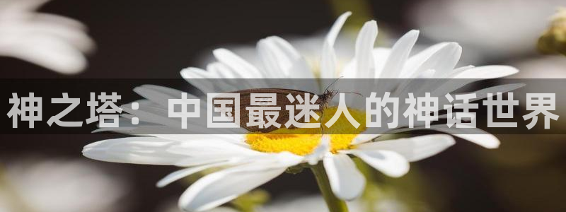 汗汗漫画电影